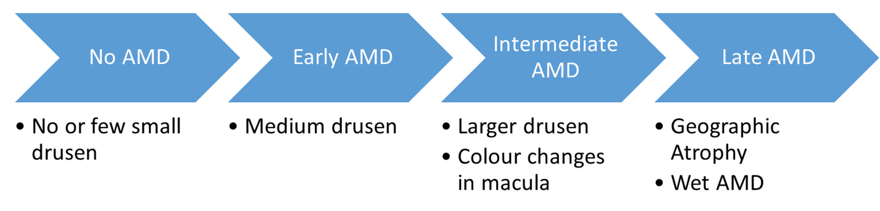 Basic Diagram For Geographic Atrophy 