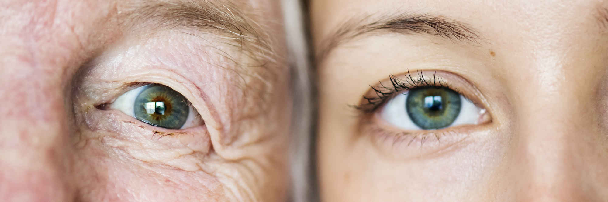 Macular conditions primary image