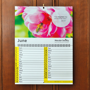 Calendar Cupboard