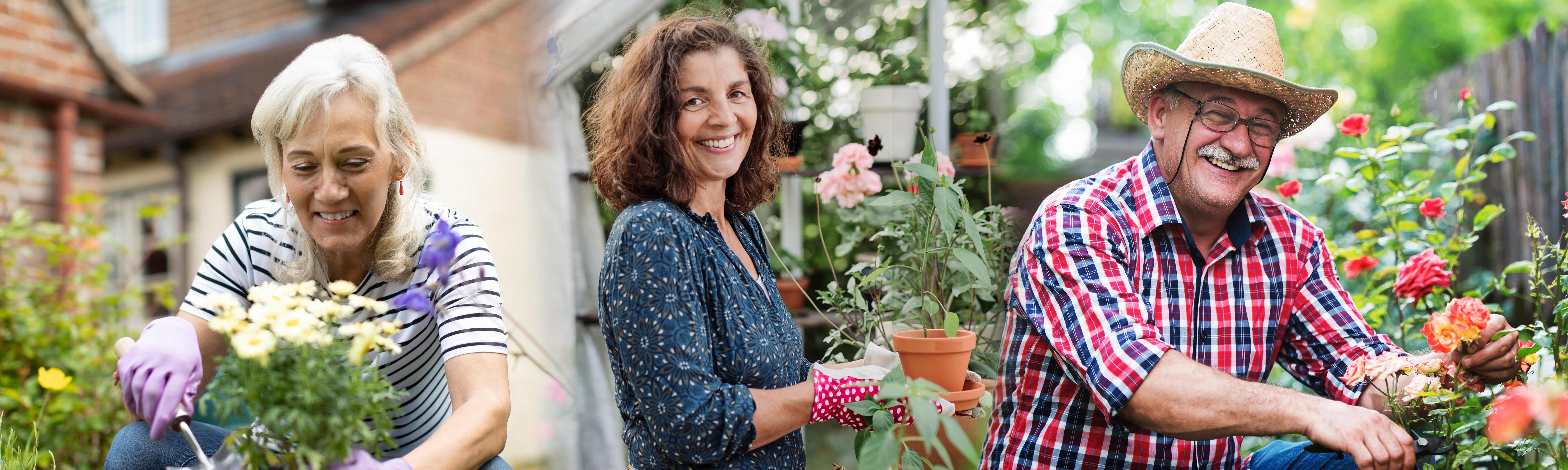 Gardening primary image