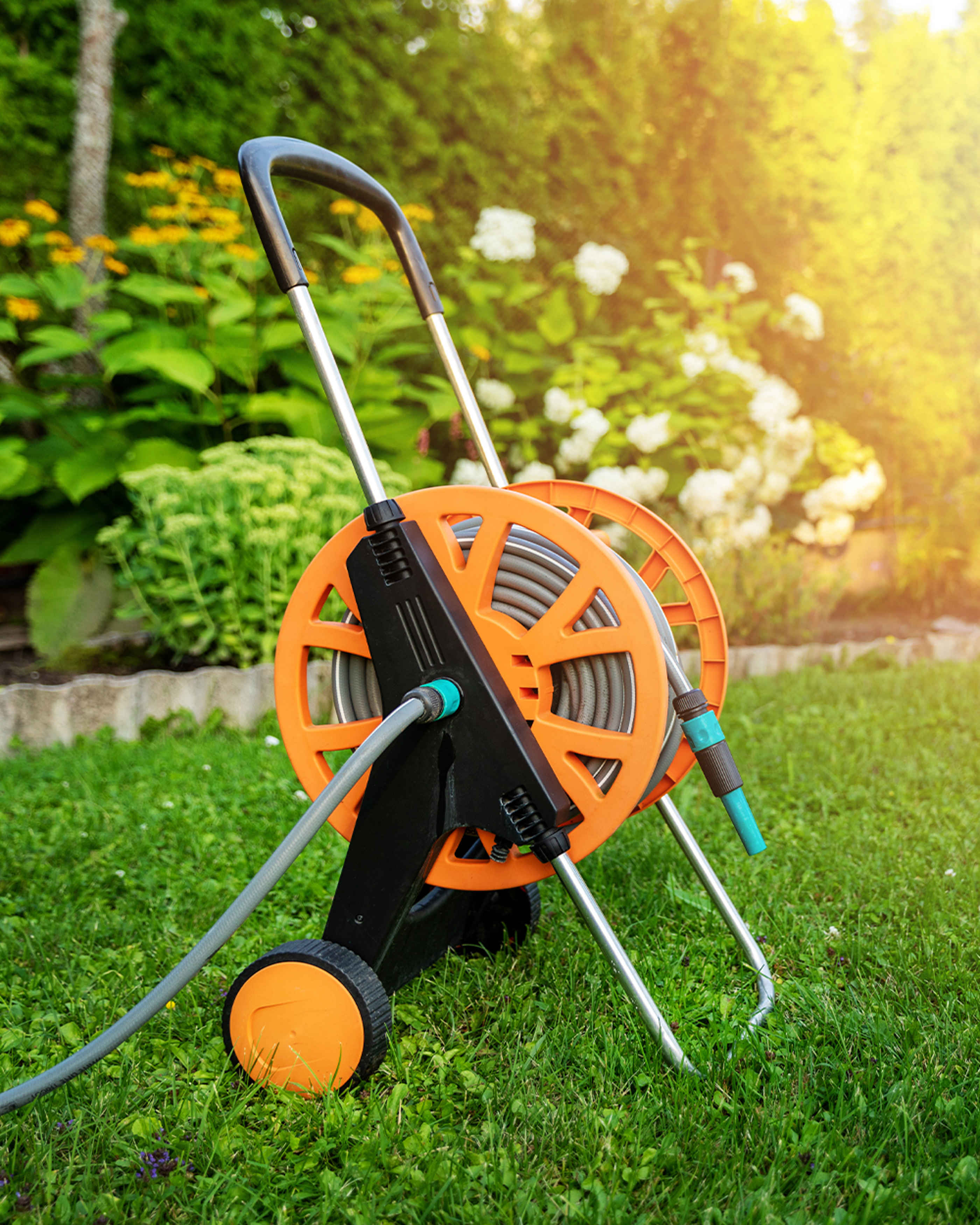 A hosepipe in a garden