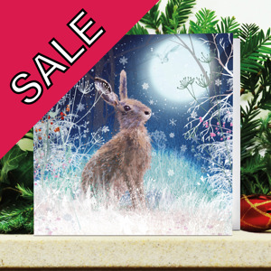 Moonlight Hare Sale